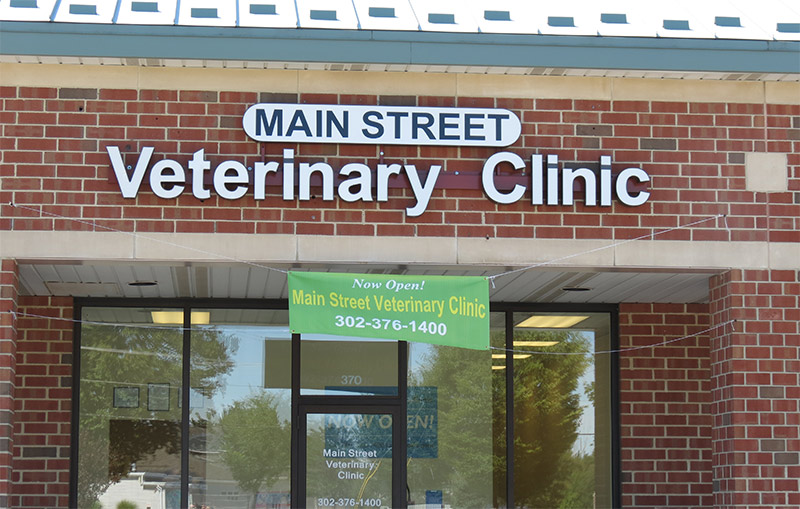 Our Veterinary Clinic in Middletown
